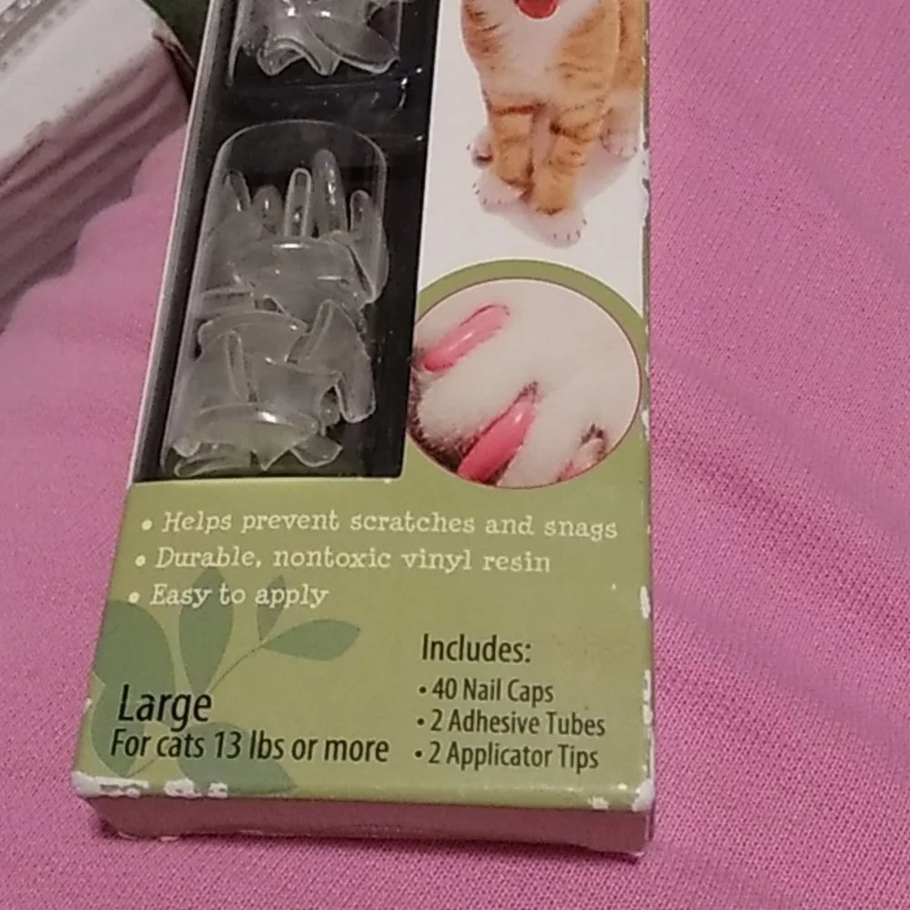 Cat Accesories